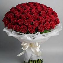 Букет 101 Красная роза Блэк Мэджик в Ясном