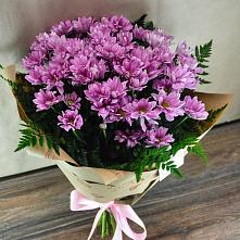 Букет цветов из:  Хризантемы #REPLACE_PRED# Ясном
