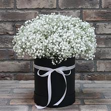 Цветочная композиция из Гипсофила в шляпной коробке в Ясном