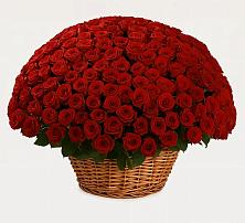 Премиум букет из: Розы в Ясном